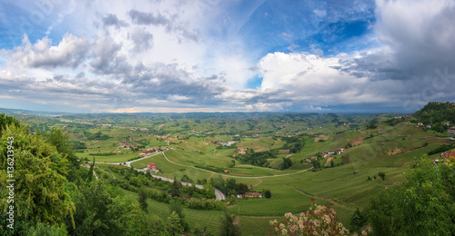 Panoramic view of Barolo vineyards, Piedmont, Italy © javarman