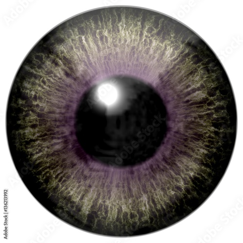 Realistic colorful eye iris texture