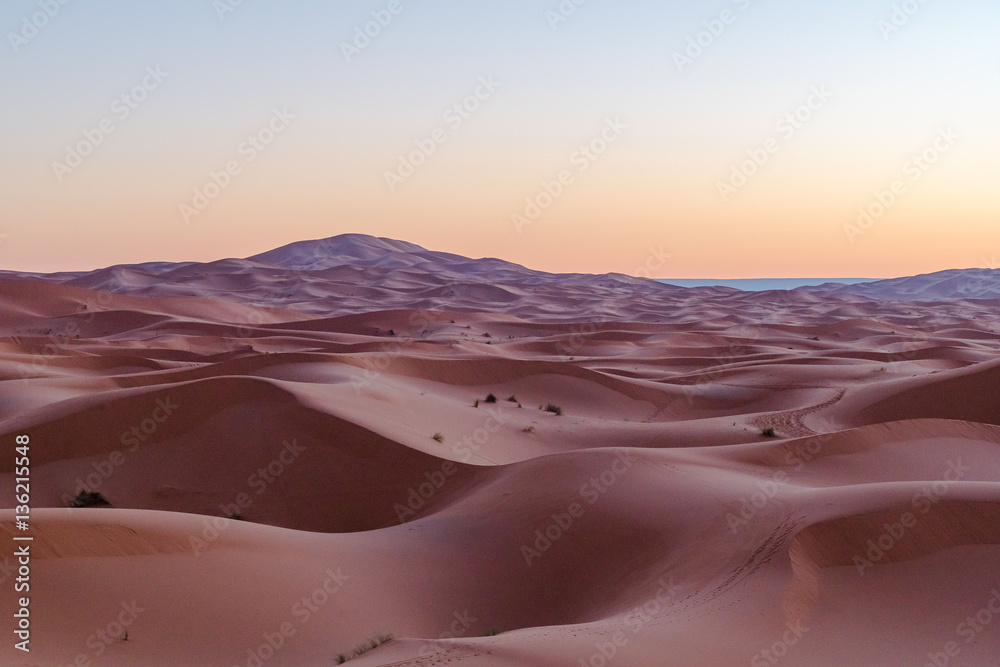 Naklejka premium desert sand