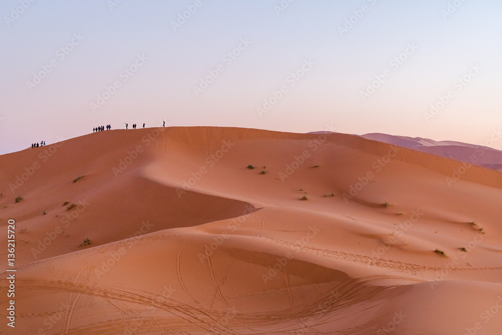 desert sand
desert sand