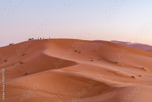 desert sand 