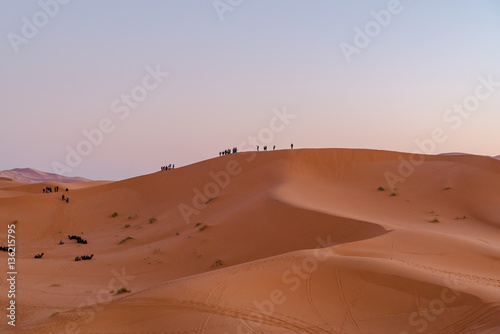 desert sand  