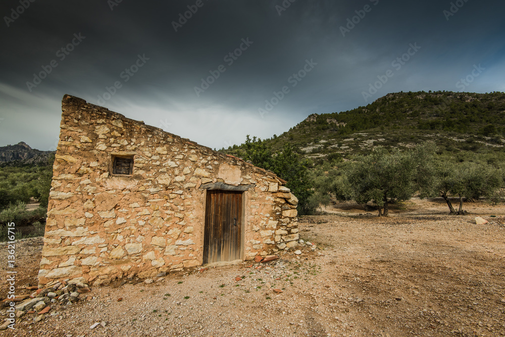 Rural dry stone house in olive tree orchand