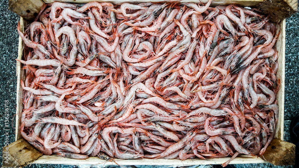 Turkish Karides / Shrimp with ice in styrofoam box Turkish Karides / Shrimp with ice in styrofoam box