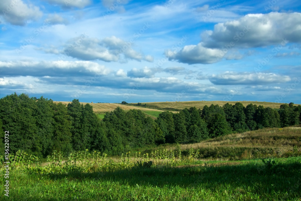 Landscape sky, forest, hills, sunflowers.