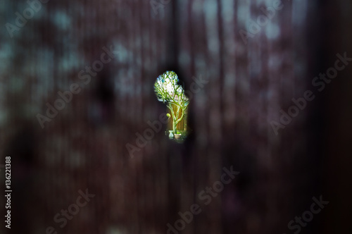 Nature through our walls