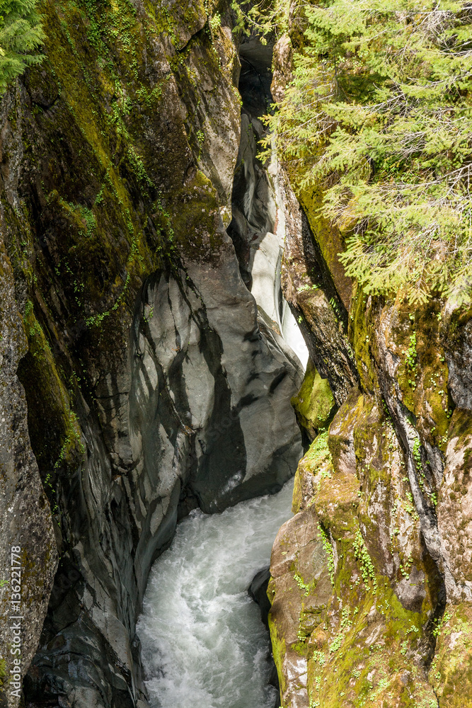 Obraz premium Box Canyon at Mount Rainier Nat'l Park, WA, USA