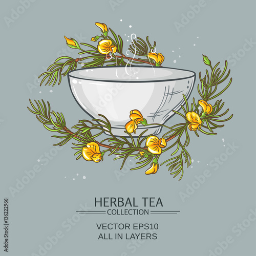 rooibos tea illustration