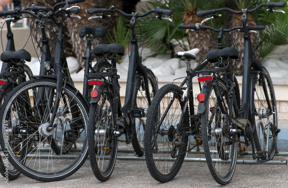 Bicycles on the street. Bike rental service.