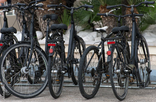 Bicycles on the street. Bike rental service.