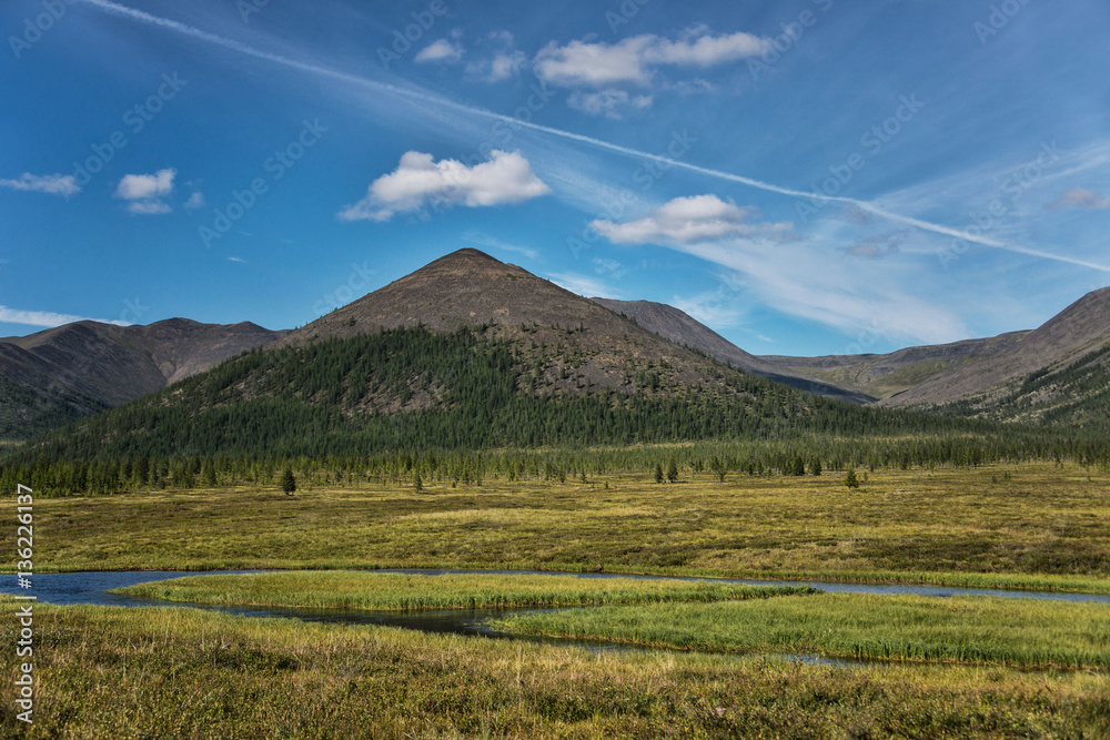 Northern landscape: boreal forest and mountains