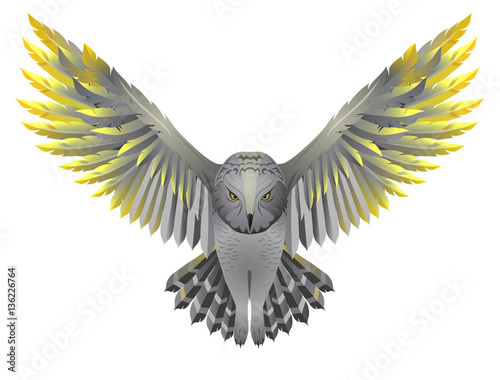 Owl with golden wings