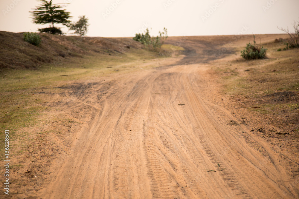 Obraz premium country road