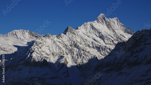 Wallpaper Mural Mount Finsteraarhorn in winter Torontodigital.ca