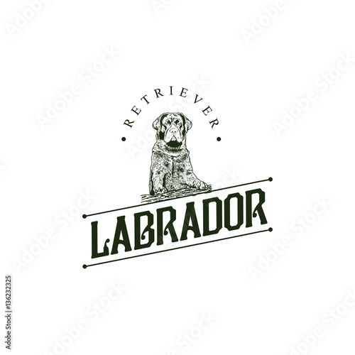 Labrador Retiver