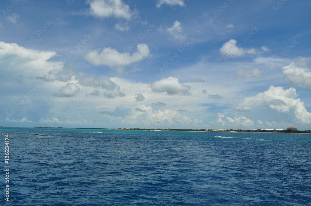 Obraz premium Shallow to deep, guess where?