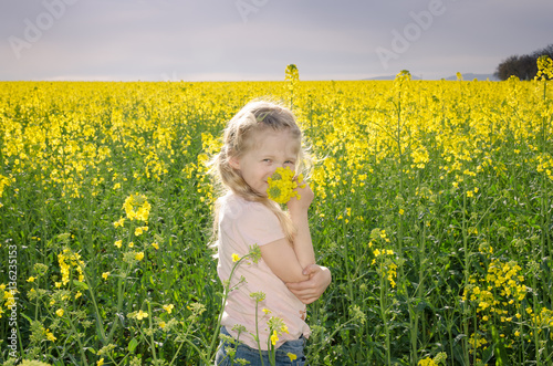 little child in scenic yellow rapeseed field