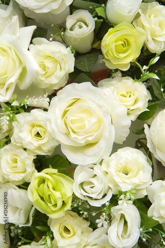 White and green roses background