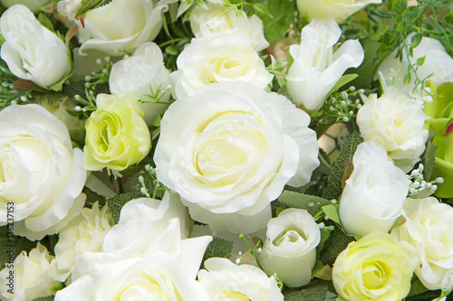 White and green roses background