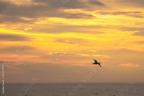 atardecer peninsula valdes playa gaviota