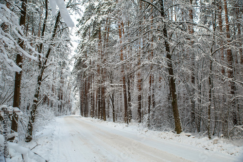 Snowy winter road. Forest with snow-covered trees. Beautiful wintertime.