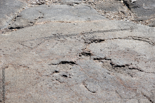 Petroglyphs, rock carvings photo