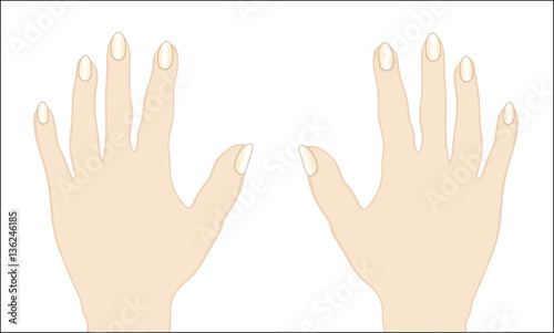 vector image of female hands with nail Manicure