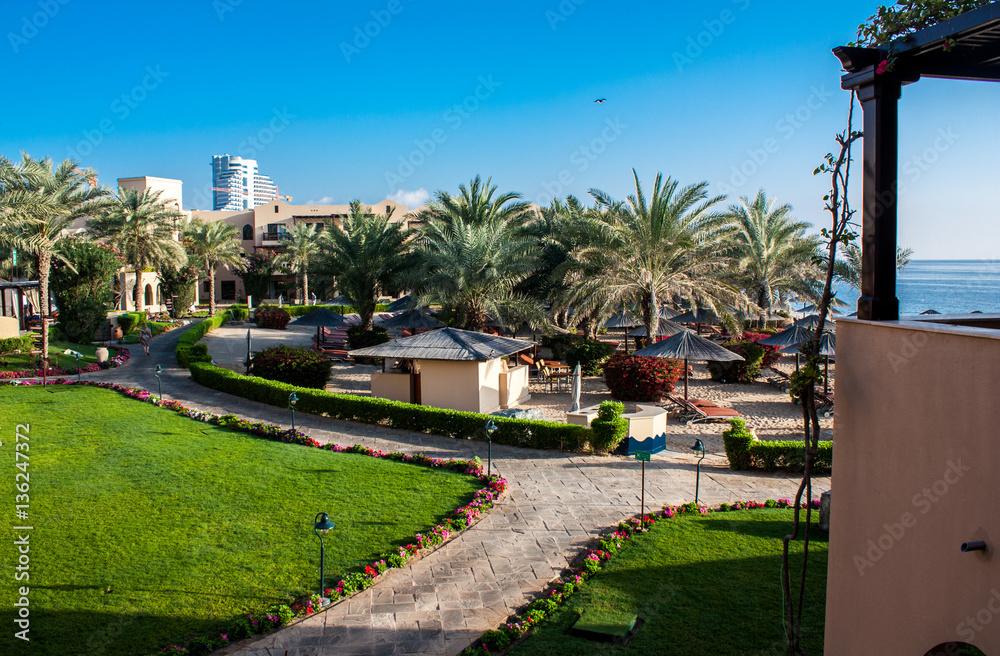 Fototapeta premium Beautiful view of the sea and palm trees
