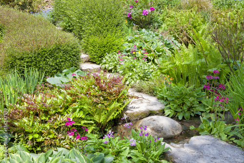 Stepping stones among green hostas, ferns, colorful flowers, shrubs, in a summer English cottage garden