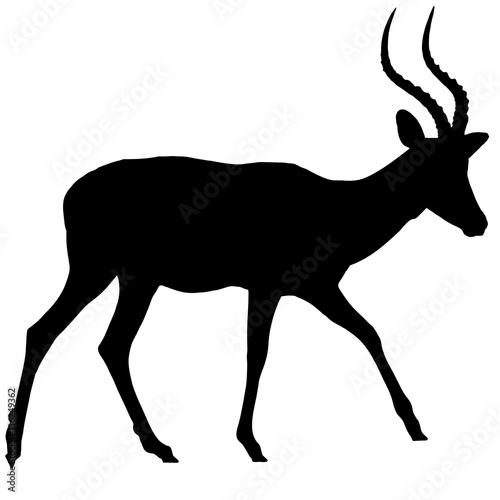 Impala Antelope - side view - Silhouette - Vector Illustration