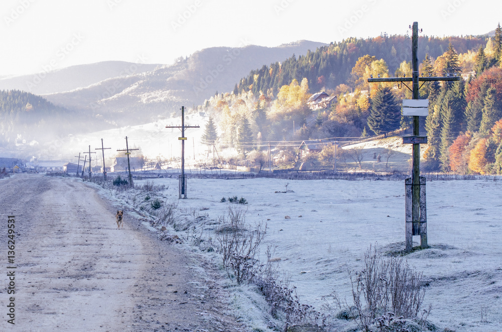 dog winter village road