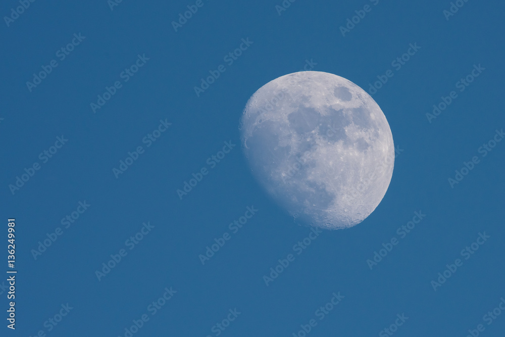 Moon, Moonflash, Moonlight Moon, Moonflash, Moonlight