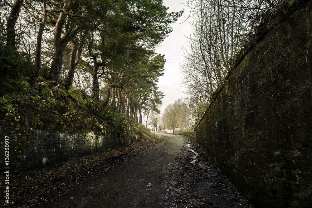 Obraz premium Lead the way