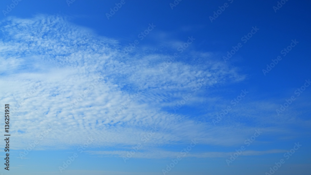 Fototapeta premium afternoon blue sky.