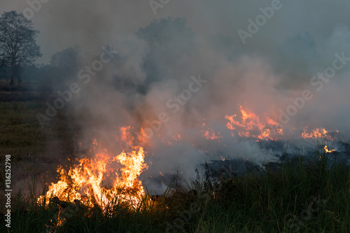 Flames burned grass. © kaentian