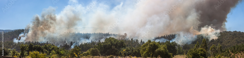 Forest Fire at Angol, Bio Bio Region, Chile.