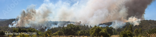 Forest Fire at Angol, Bio Bio Region, Chile.