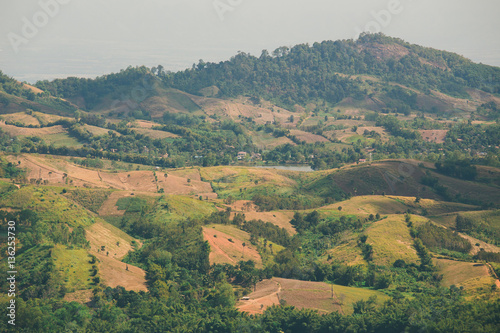 the tree view with clouds and hills