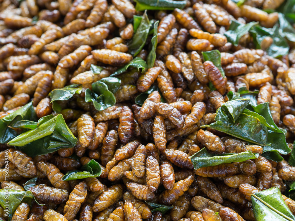 Close up of fried silk worm and kaffir lime leaves. Thai local d