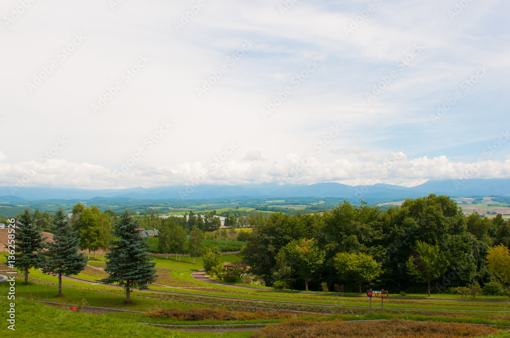 Fototapeta premium 上から望む日本 北海道 美瑛の自然な風景