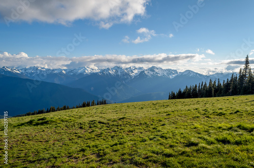 Hurricane Ridge, Olympic National Park