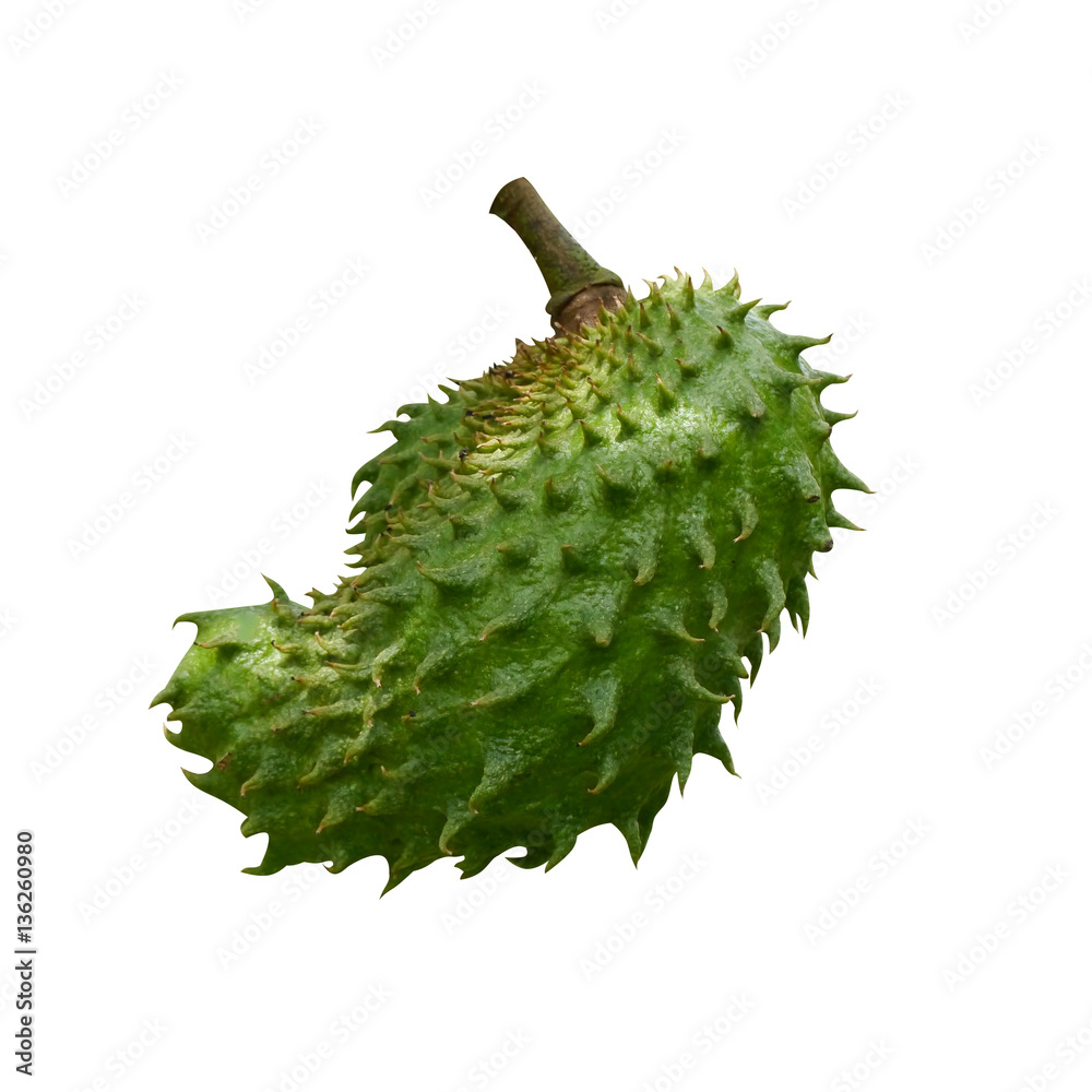 Green Soursop, Prickly Custard Apple. (Annona muricata L.) Green Soursop, Prickly Custard Apple. (Annona muricata L.)