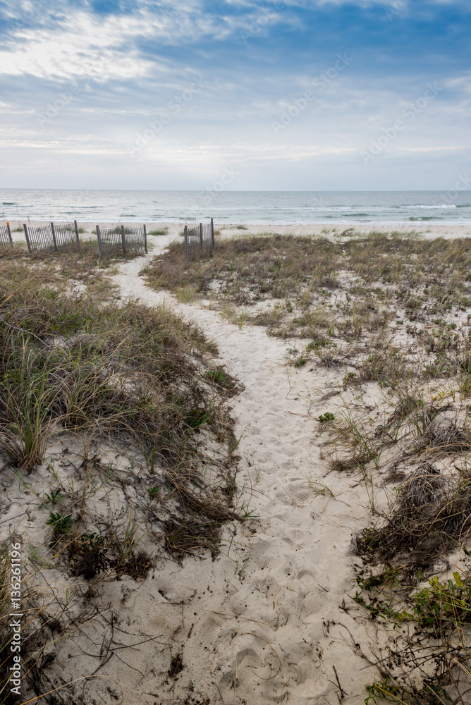 Pathway Through the Dunes To the Ocean