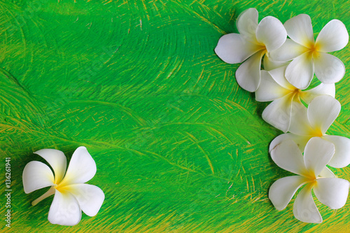 Plumeria flowers on a wooden Light Green..copy space