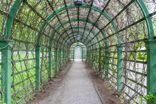 Tunnel of leaves in the gardens at Kadriorg Palace in Tallinn, Estonia