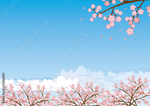 桜　青空イメージイラスト