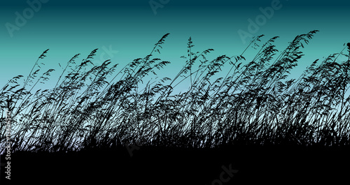 Vector grassy silhouette 
