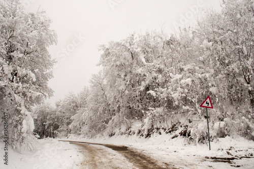 Countryside winter road with road sign