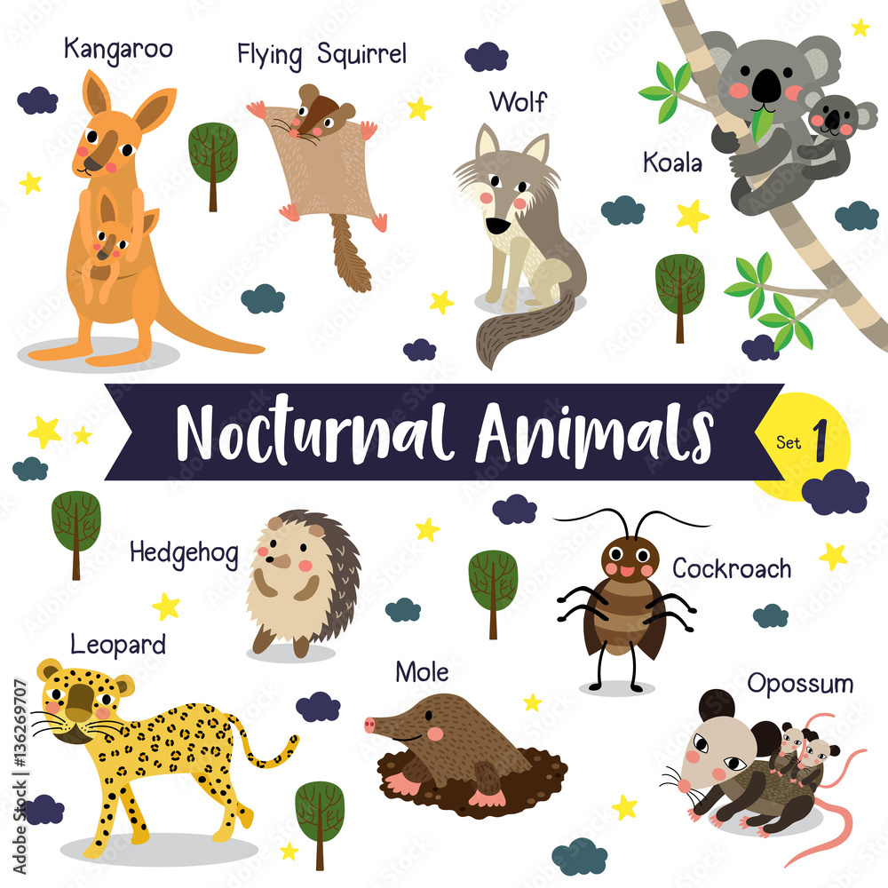 Nocturnal Animals cartoon on white background with animal name. Set 1.  Stock Vector | Adobe Stock