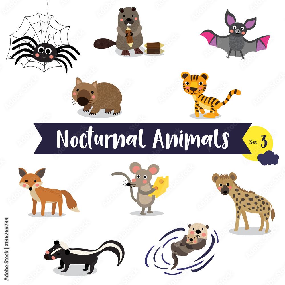 Obraz premium Nocturnal Animals cartoon on white background. Set 3.